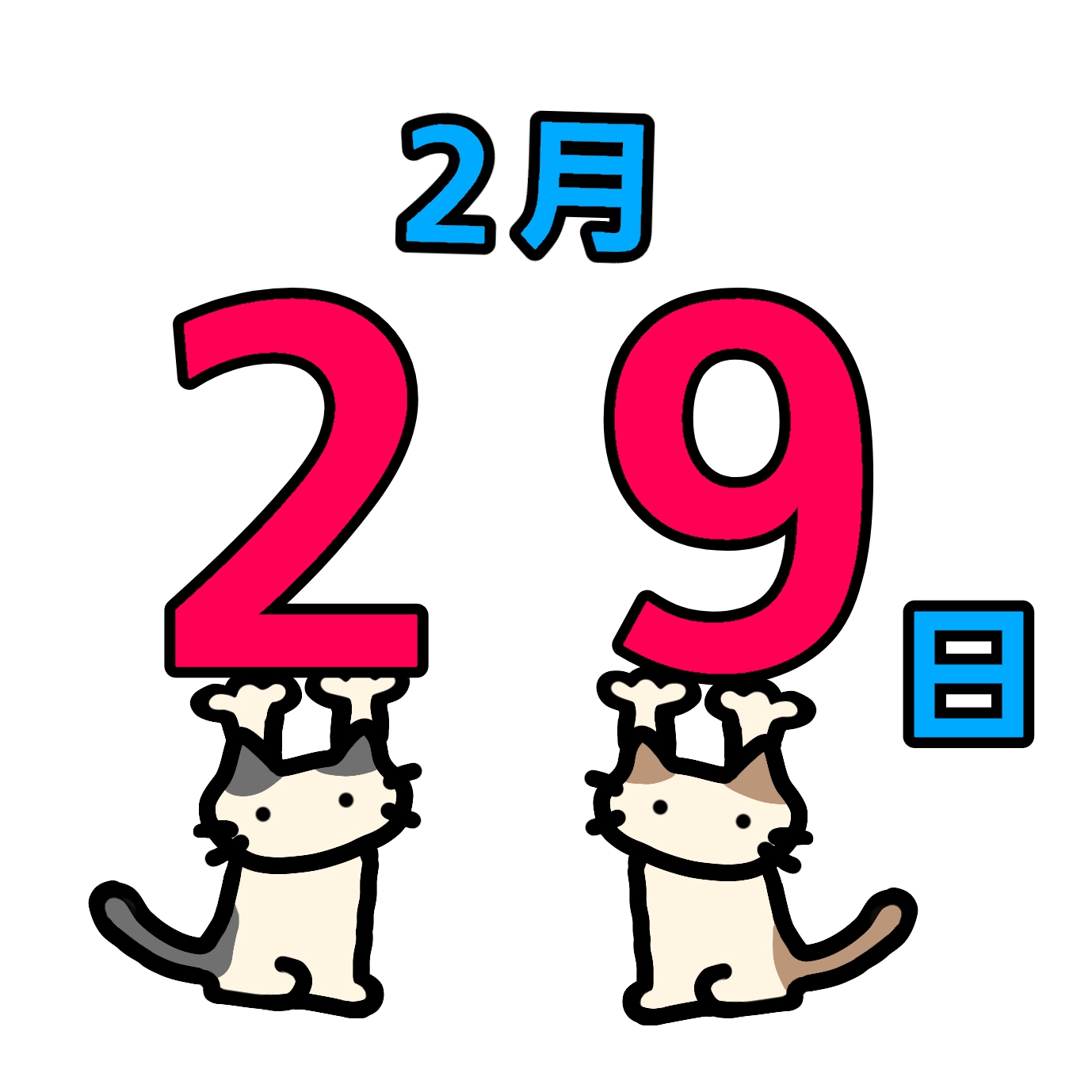 今年はうるう年📅