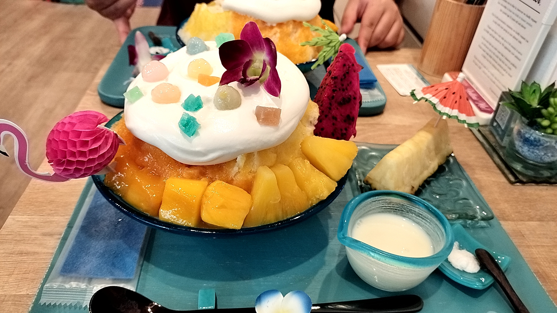 ［🌺ファースト杯🌺］表彰旅行in沖縄