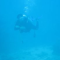 ★海の中を散歩して見ませんか?